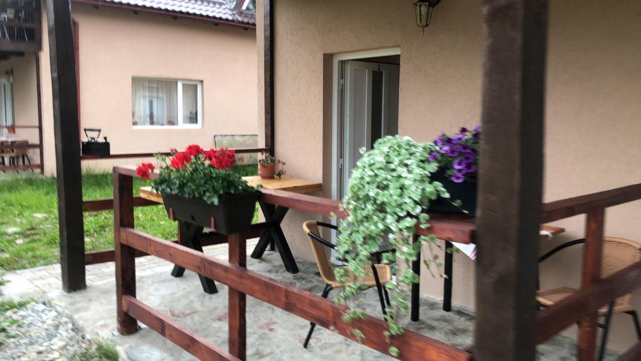 Casa Albert Valea Avrigului Exterior photo